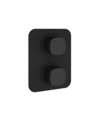 Cameo 1 Outlet 2 Handle Concealed Thermostatic Valve