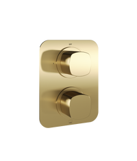 Cameo 1 Outlet 2 Handle Concealed Thermostatic Valve